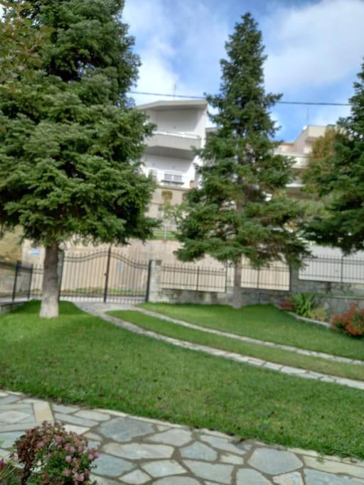 Trikki House Apartment *