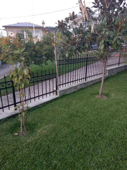 Trikki House Apartment Trikala (Thessaly)