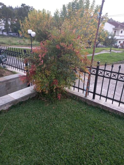 Apartment Trikki House Trikala (Thessaly)
